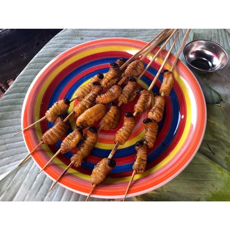 朝日放送「朝だ！生です旅サラダ」さんのインスタグラム写真 - (朝日放送「朝だ！生です旅サラダ」Instagram)「@edayuri_official #ベレン市場 では初の虫も頂きましたー🤣💦 . #スリ は甲虫の仲間、ゾウムシの幼虫！ アマゾンでは昔から貴重なタンパク源として 好まれてきました。 見た目さえクリアすれば味はとても美味しい。 お豆のような風味でした！ . アマゾンならではのワイルドな食材を頂き #パワーチャージ できました💪🏻👩🏻 _ #初挑戦 #虫を食べてみた #ゾウムシの幼虫 #お豆みたい #ワイルド #Mercado de Belén #Iquitos #南米 #ペルー #Peru _ #ABCテレビ #朝日放送テレビ #生放送 #土曜朝 #8時 #朝だ生です旅サラダ #旅サラダガールズ #江田友莉亜  #海外 #旅 #travel #trip」7月26日 21時28分 - tabisalad