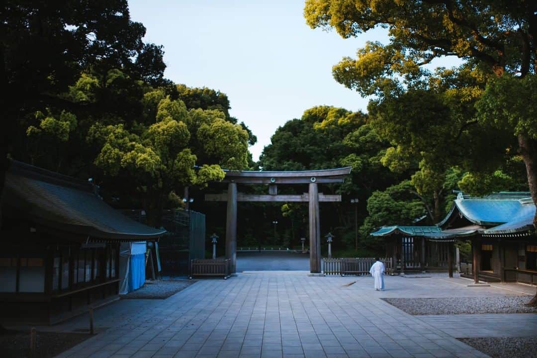 National Geographic Travelさんのインスタグラム写真 - (National Geographic TravelInstagram)「Photo by @max.lowe I Surrounded by a sea of concrete and organized chaos, the Meiji Jingu Shrine near the Shibuya district of Tokyo is a refuge for the wanting traveler and local alike. Entombed in thick woods and insulating silence the sprawling compound, home to the Shinto Monks who care for its walkways, courtyards and cold pools of fresh creek water welcome any and all who seek its sanctitude. To see more from his travels follow @max.lowe」7月26日 22時03分 - natgeotravel