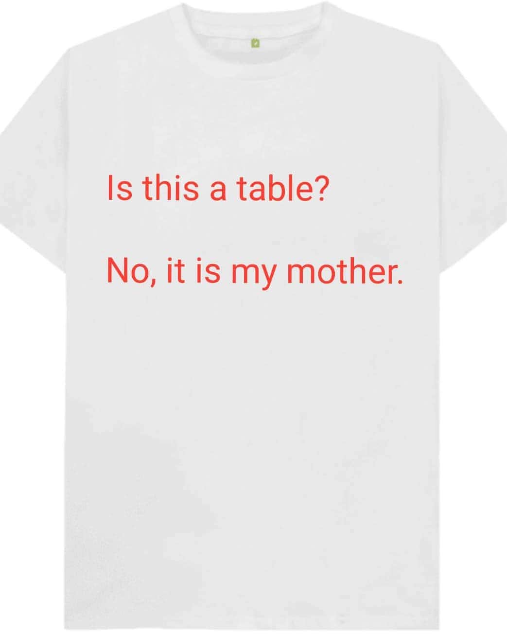 松原義和のインスタグラム：「僕の考えた文字Tシャツ #風藤松原#松原義和#Tシャツ#文字#文字Tシャツ#ネタ#小ネタ#ネタTシャツ#ファッション#白T#お笑い#笑い#fashion#love#shirt#gu#ユニクロ#japanese#テスト#問題#white#英語#洋服#clothes#chicken#people#interesting#red#table#mother」
