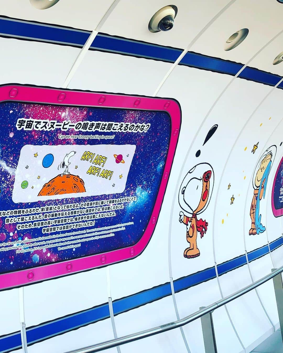 東條恭子さんのインスタグラム写真 - (東條恭子Instagram)「. #SNOOPY in #skytree🐶🚀❤️💜 . 東京スカイツリーで2019年10月14日(祝)まで開催中の✨ 「FIRST BEAGLE IN SKYTREE(R) ! -アストロノーツスヌーピーと宇宙を知ろう-」へ💫 . 館内のアストロノーツスヌーピーの世界観が可愛くて🌟 宇宙に関する知識を学べたり、オリジナルグッズ、コラボカフェ、スタンプラリーetc...イベント盛り沢山🔭🧡✨ . 夏休みのお出かけにたっぷり楽しめちゃいます🎶 お天気に恵まれて景色も最高でした~っ🥰❣️ . . #charapa #アストロノーツスヌーピーと宇宙を知ろう #スヌーピー #PEANUTS #東京スカイツリー #PR #宇宙 #スカイツリー #firstbeagleinskytree #夏休み #押上 #夏休みの思い出 #夏休みお出かけ #押上カフェ #snoopycafe #snoopymania #snoopygrams #snoopylover #宇宙好き」7月26日 22時58分 - kyoko_tojo