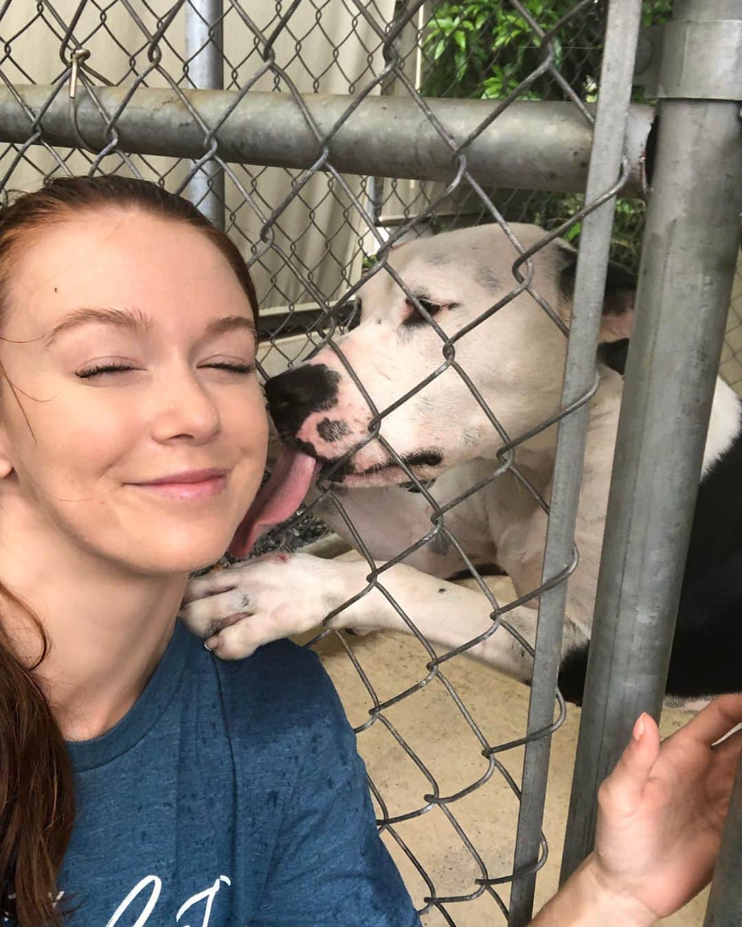 リアンナ・デッカーさんのインスタグラム写真 - (リアンナ・デッカーInstagram)「My days are amazing when I’m hanging out with all the amazing fur babies at @pranimals ❤️🐶 #adoptdontshop #adoptme #pranimals #dogsofpuertorico #rescuedog」7月26日 23時03分 - leannadecker_