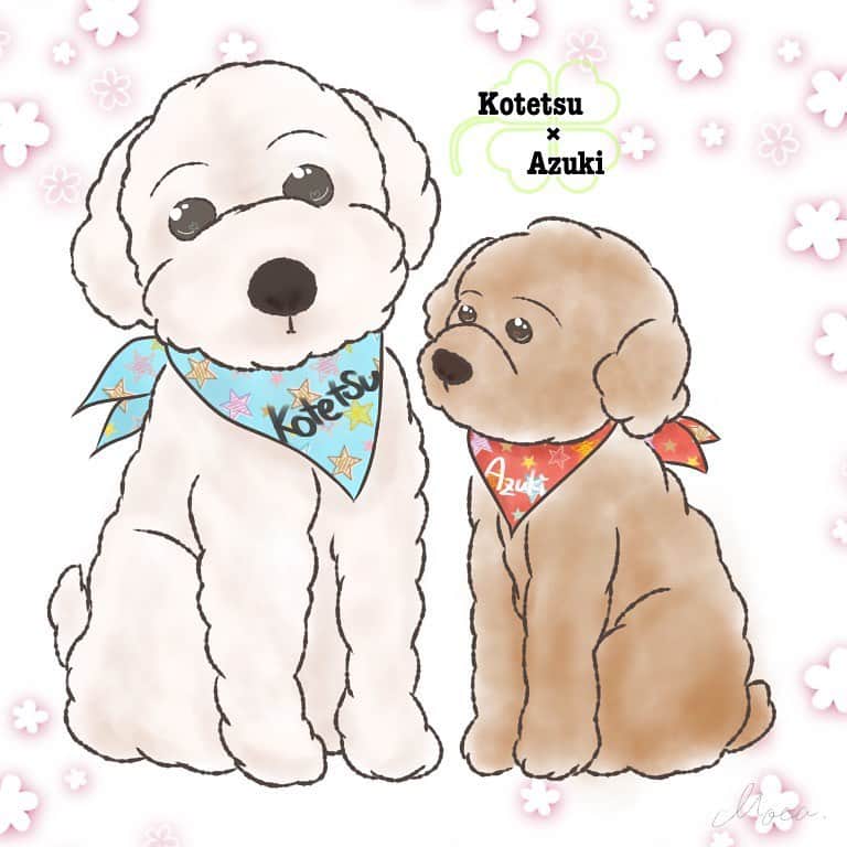 佐伯三貴のインスタグラム：「知り合いが描いてくれたあずきとこてつ😍❤️❤️❤️ #kotetsu#azuki#toypoodles」