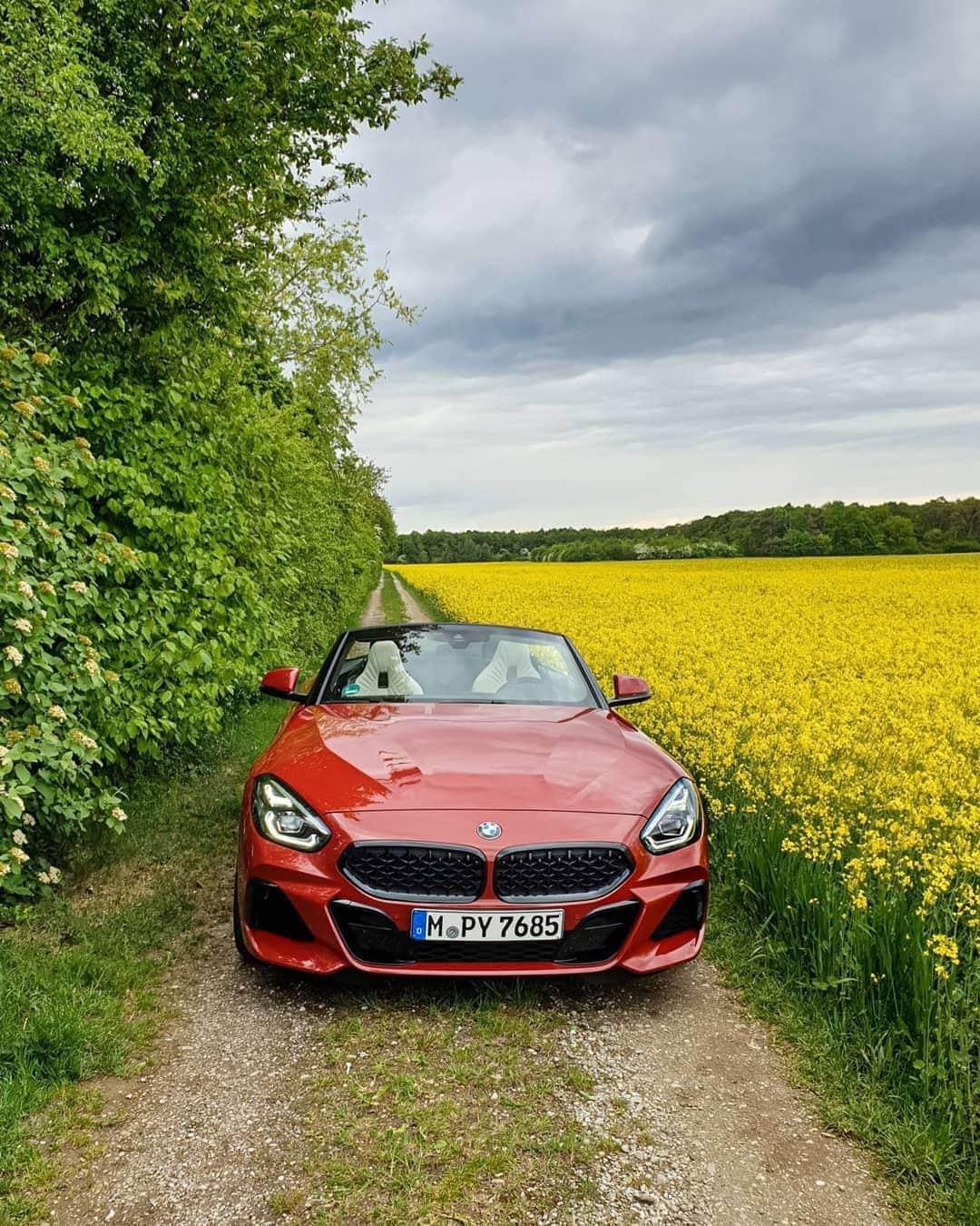 BMWのインスタグラム：「Total experience. Whatever nature has in store. The BMW Z4. #TheZ4 #BMW #Z4 #BMWrepost @todorov5 __ BMW Z4 sDrive30i: Fuel consumption in l/100 km (combined): 6.1. CO2 emissions in g/km (combined): 139. The values of fuel consumptions, CO2 emissions and energy consumptions shown were determined according to the European Regulation (EC) 715/2007 in the version applicable at the time of type approval. The figures refer to a vehicle with basic configuration in Germany and the range shown considers optional equipment and the different size of wheels and tires available on the selected model. The values of the vehicles are already based on the new WLTP regulation and are translated back into NEDC-equivalent values in order to ensure the comparison between the vehicles. [With respect to these vehicles, for vehicle related taxes or other duties based (at least inter alia) on CO2-emissions the CO2 values may differ to the values stated here.] The CO2 efficiency specifications are determined according to Directive 1999/94/EC and the European Regulation in its current version applicable. The values shown are based on the fuel consumption, CO2 values and energy consumptions according to the NEDC cycle for the classification. For further information about the official fuel consumption and the specific CO2 emission of new passenger cars can be taken out of the „handbook of fuel consumption, the CO2 emission and power consumption of new passenger cars“, which is available at all selling points and at https://www.dat.de/angebote/verlagsprodukte/leitfaden-kraftstoffverbrauch.html.」