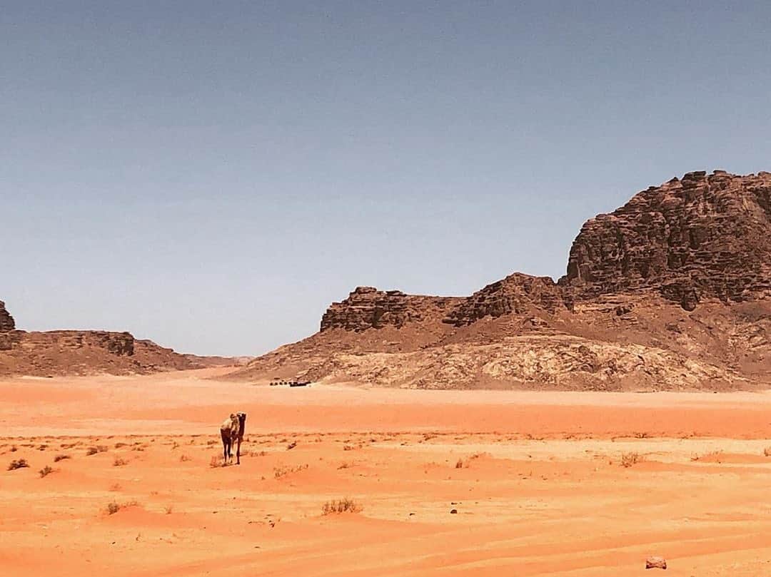 NikonUSAさんのインスタグラム写真 - (NikonUSAInstagram)「Stunning desert shot of Wadi Rum in southern Jordan from #NikonAmbassador @bambicantrell with the #Nikon #Z7. 🐪 #NikonLove」7月27日 1時37分 - nikonusa