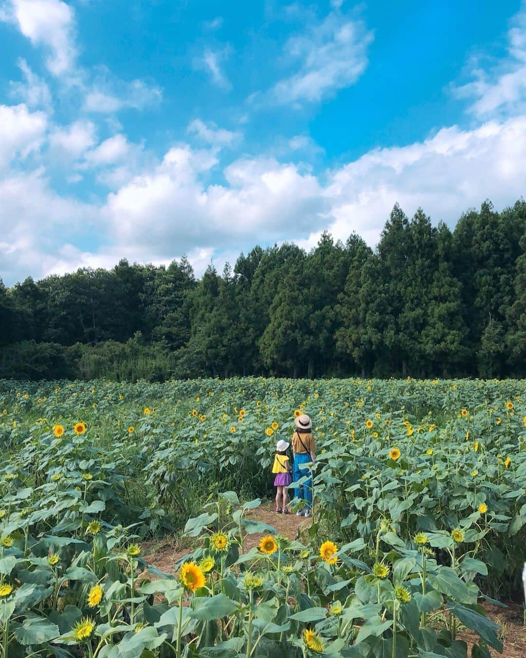 土屋香織のインスタグラム