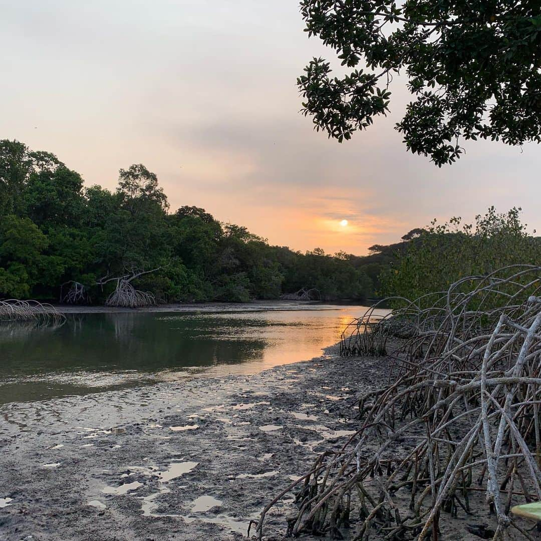 サミュエル・L・ジャクソンさんのインスタグラム写真 - (サミュエル・L・ジャクソンInstagram)「Out here experiencing the last visuals the captured had before shackling & shipping!! #homecoming #enslaveddocumentary」7月27日 4時17分 - samuelljackson