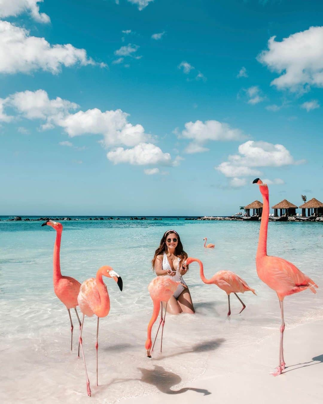 AIR CANADAさんのインスタグラム写真 - (AIR CANADAInstagram)「With views like these, no wonder everyone is flocking to Aruba 😎 Join in on the fun with our non-stop service from Toronto year-round. (📸 @adaras) . . Avec de si beaux paysages, pas étonnant que tout le monde s’envole pour Aruba 😎 Allez-y vous aussi grâce à nos vols directs offerts à l’année au départ de Toronto. (📸 @adaras)」7月27日 5時20分 - aircanada