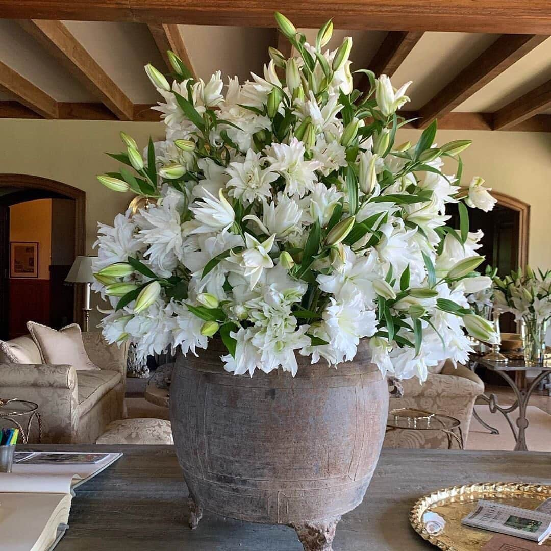 マーサ・スチュワートさんのインスタグラム写真 - (マーサ・スチュワートInstagram)「At @marthastewart48’s home, arrangements don’t stop at just dozens of blooms. Some even boast a hundred! Here’s the story behind her larger-than-life arrangement of fresh lilies. “About 100 stems of lilies grown on my farm in Bedford were just arranged in the great hall of Skylands by none other than @seenbysharkey. We transported the cut lilies by truck to Maine to fill the house with unsurpassed scent and beauty!” - Martha. Visit the #themarthablog at the link in bio to see how Martha and head gardener @ryanmccallister1 plant, grow, and maintain these beautiful lilies on her Bedford farm. #regram via @marthastewart48」7月27日 5時27分 - marthastewart