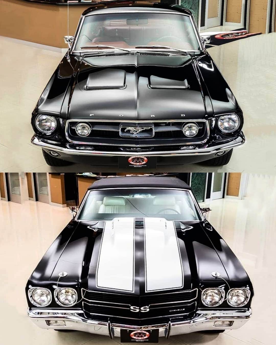 Classics Dailyさんのインスタグラム写真 - (Classics DailyInstagram)「Top or Bottom!? _ Photos: @vanguardmotors #Ford #Mustang #chevelle #americanmuscle #musclecar  #classic #restomod #speed #vehicles  #cargram #carstagram #amazing_cars #fastcar #motors #engine #horsepower #musclecar #amazingcars #classicsdaily」7月27日 5時46分 - classicsdaily
