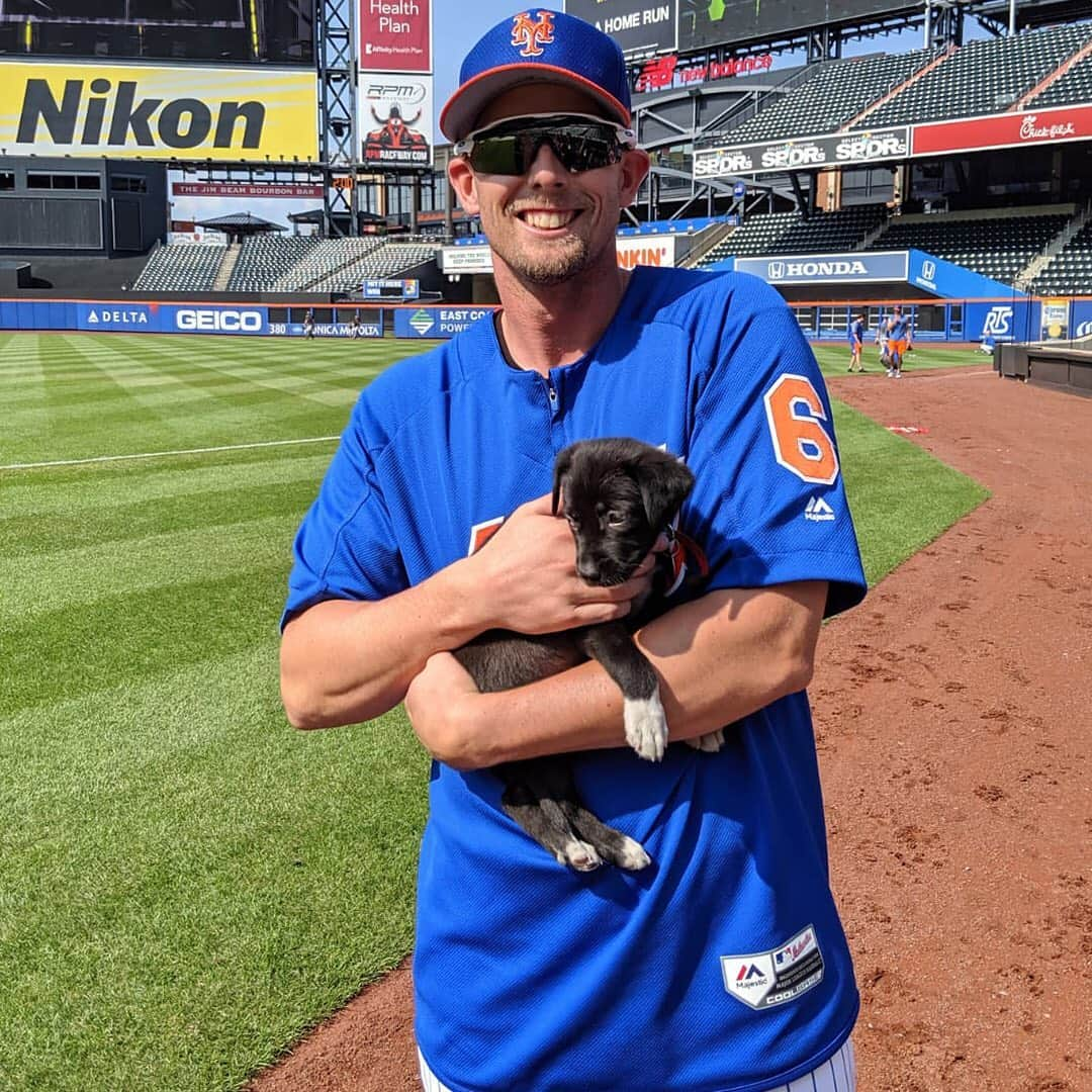 ニューヨーク・メッツさんのインスタグラム写真 - (ニューヨーク・メッツInstagram)「Pictures to get you through a ruff day. 😍😍😍 #GetYourRescueOn #LGM #Mets」7月27日 6時39分 - mets