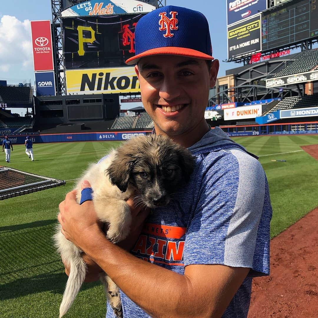 ニューヨーク・メッツさんのインスタグラム写真 - (ニューヨーク・メッツInstagram)「Pictures to get you through a ruff day. 😍😍😍 #GetYourRescueOn #LGM #Mets」7月27日 6時39分 - mets