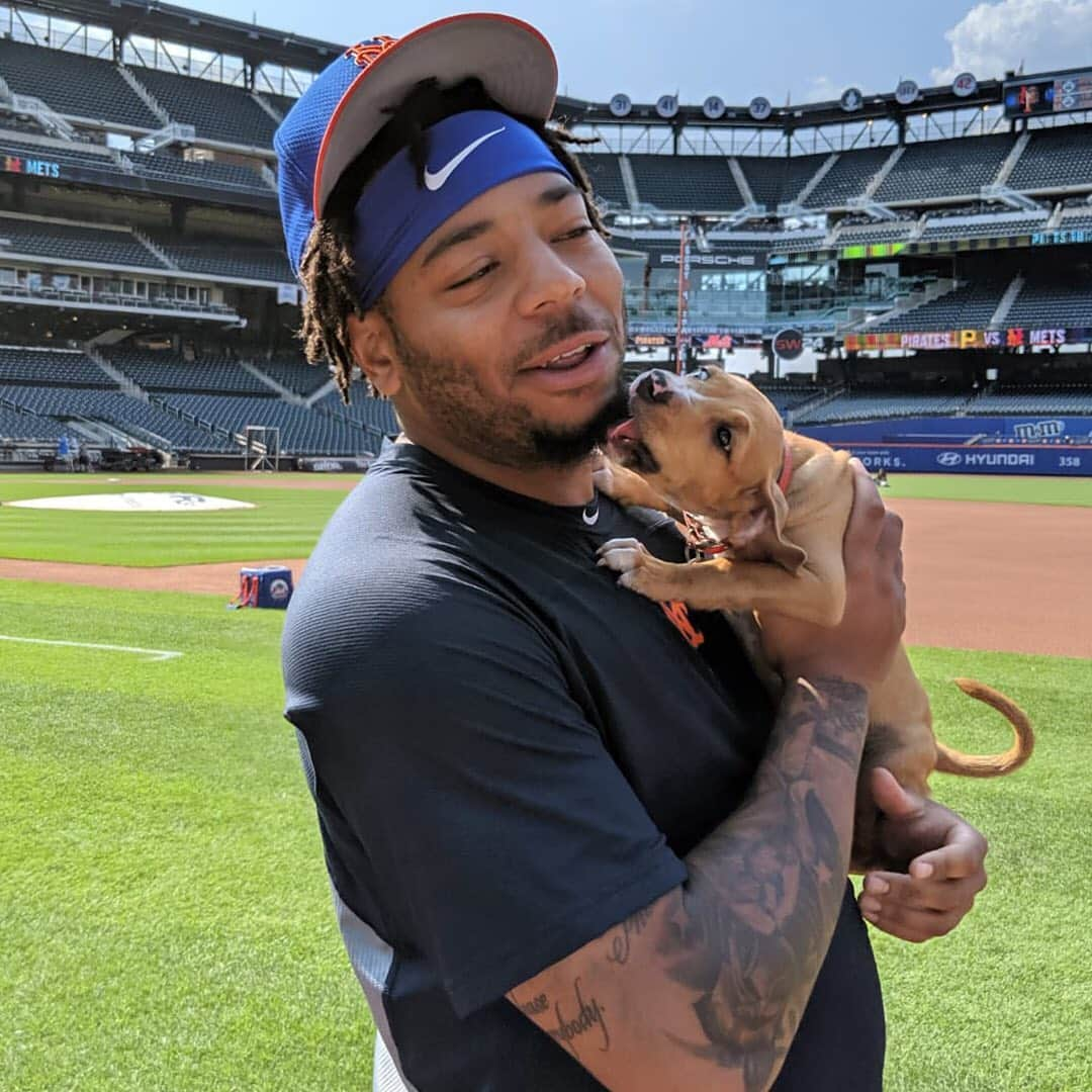 ニューヨーク・メッツさんのインスタグラム写真 - (ニューヨーク・メッツInstagram)「Pictures to get you through a ruff day. 😍😍😍 #GetYourRescueOn #LGM #Mets」7月27日 6時39分 - mets