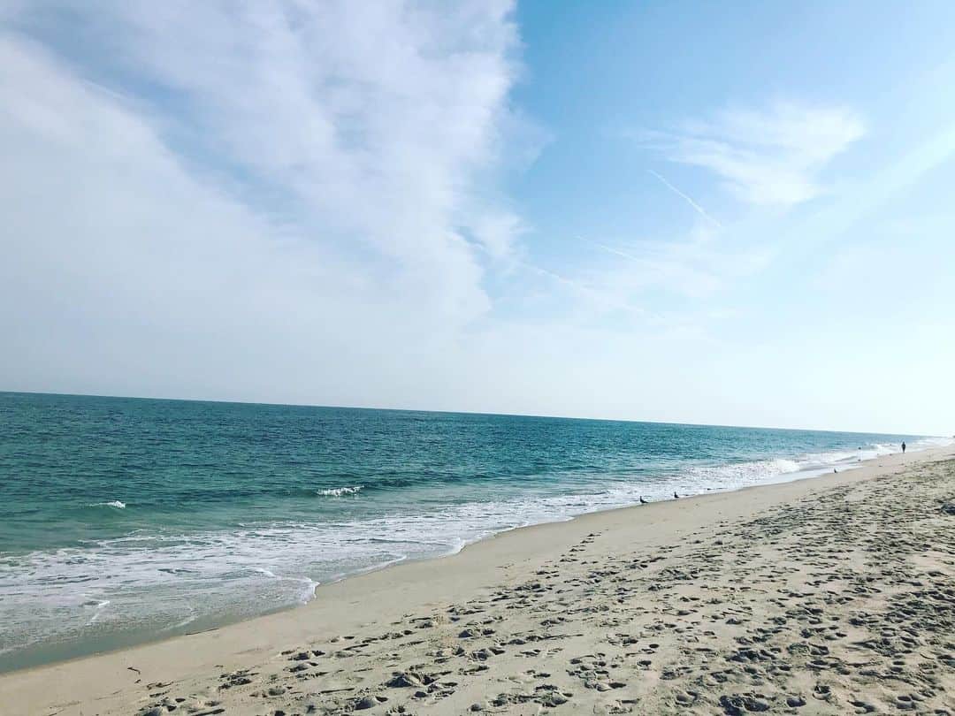 のインスタグラム：「#Lifeisabeach (#beachedwhale) #thepines #fireisland」