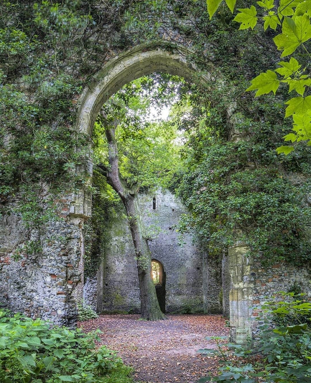 Abandoned Placesさんのインスタグラム写真 - (Abandoned PlacesInstagram)「Overgrown church in the Norfolk woods. Photography by @forgottenheritage」7月27日 8時00分 - itsabandoned