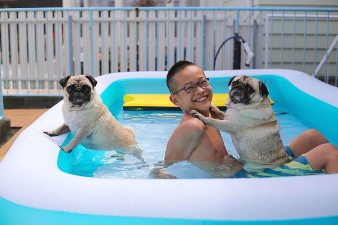 のインスタグラム：「今日も夏を全力で楽しもう。わたくし夏の間はあまり働かないのでご了承下さい😉 #僕の夏休み #pug #puglife #chuckとharry」