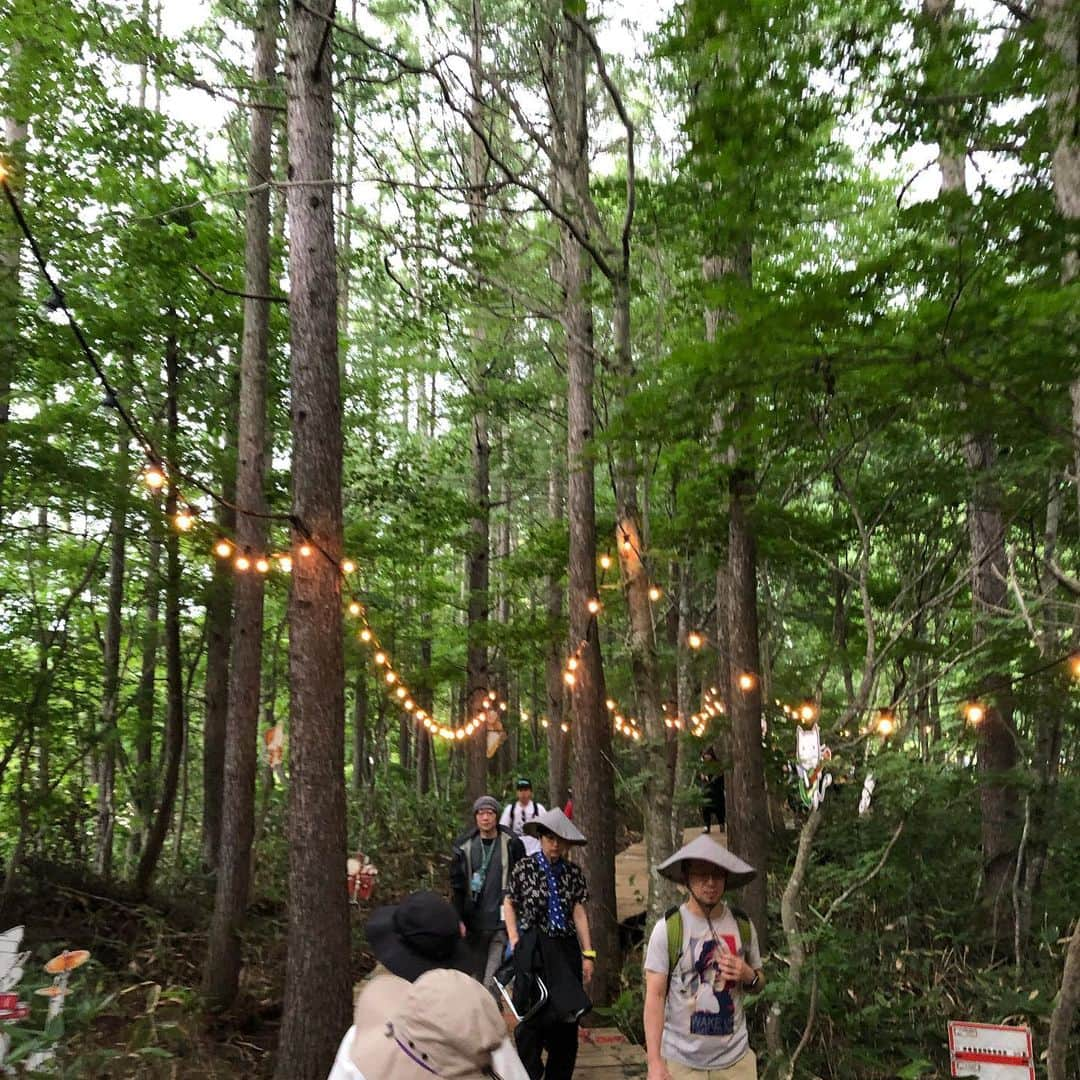 落合隼亮さんのインスタグラム写真 - (落合隼亮Instagram)「#fujirock #garyclarkjr #janellemonae #toroymoi #tycho」7月27日 8時31分 - ottieshun