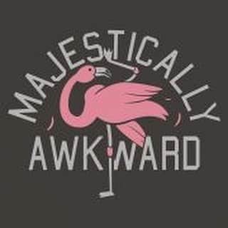のインスタグラム：「Majestically Awkward. #wildfox #inspo #spiritanimal #flamingo」