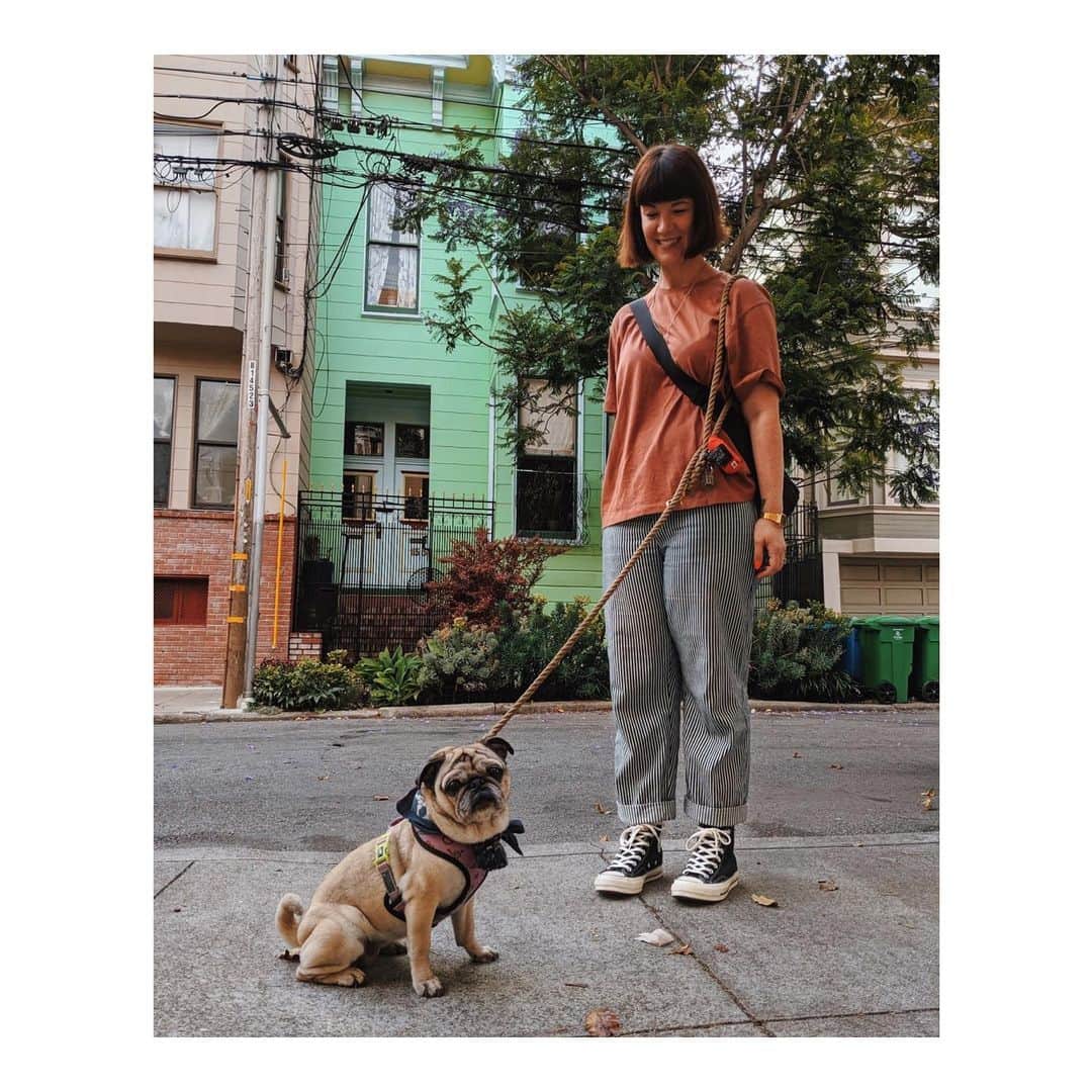 Melissa Santiagoのインスタグラム：「Bumped into @whyyoueye two days this week on our morning walk 🤗  #DailyPug #LeicaHarrietPancakes」