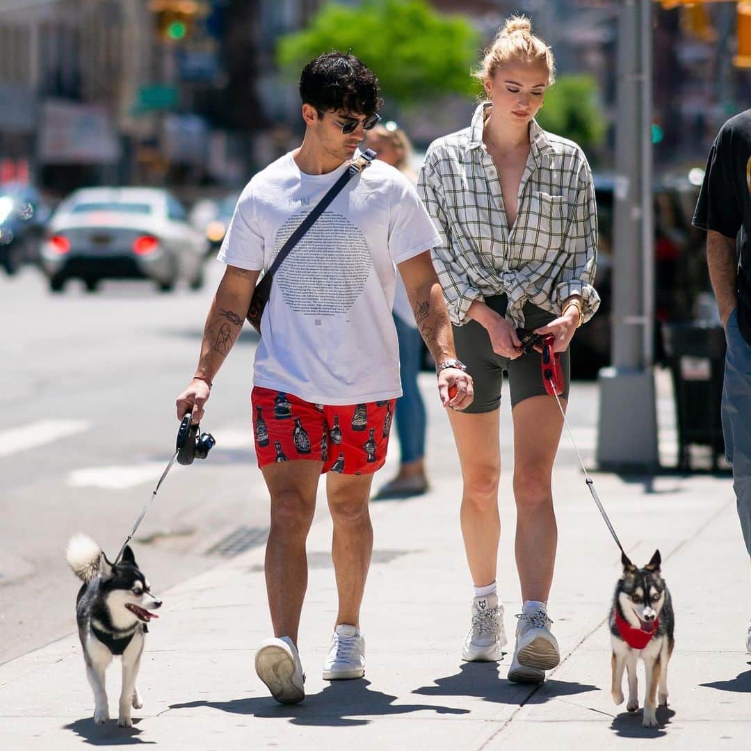 E! Onlineさんのインスタグラム写真 - (E! OnlineInstagram)「Joe Jonas and Sophie Turner's dog Waldo Picasso was struck and killed by a car in a "freak accident." 💔 Link in bio. (📷: Getty Images)」7月27日 11時01分 - enews
