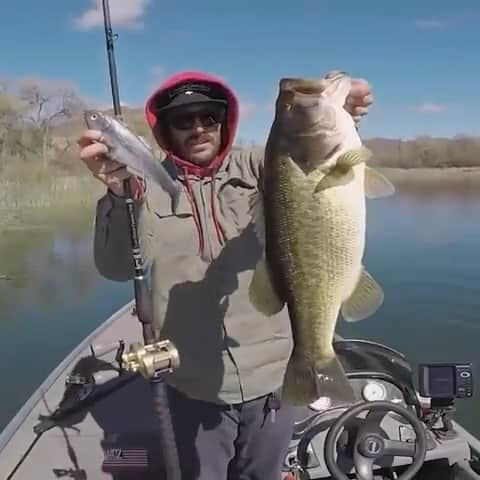 Electric_Fishingのインスタグラム