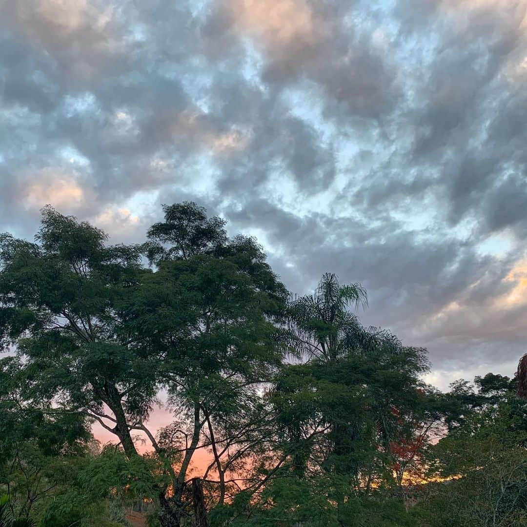 のインスタグラム：「Mta perfeição essa natureza e cores e vida!!! !!!! !!!! !!!! Fico louca!!! Amo!!! 🌈」