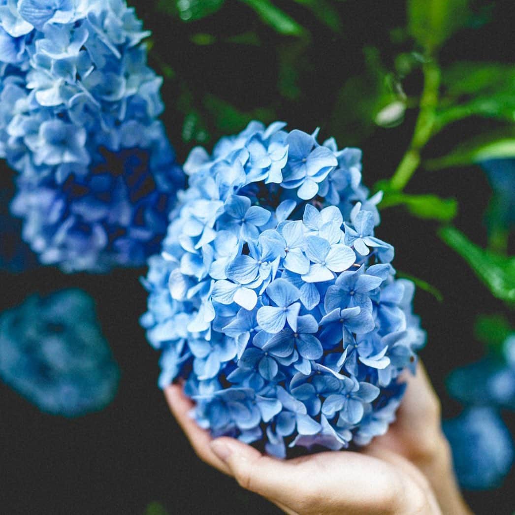 鈴木康代さんのインスタグラム写真 - (鈴木康代Instagram)8月10日 22時05分 - 88_grm