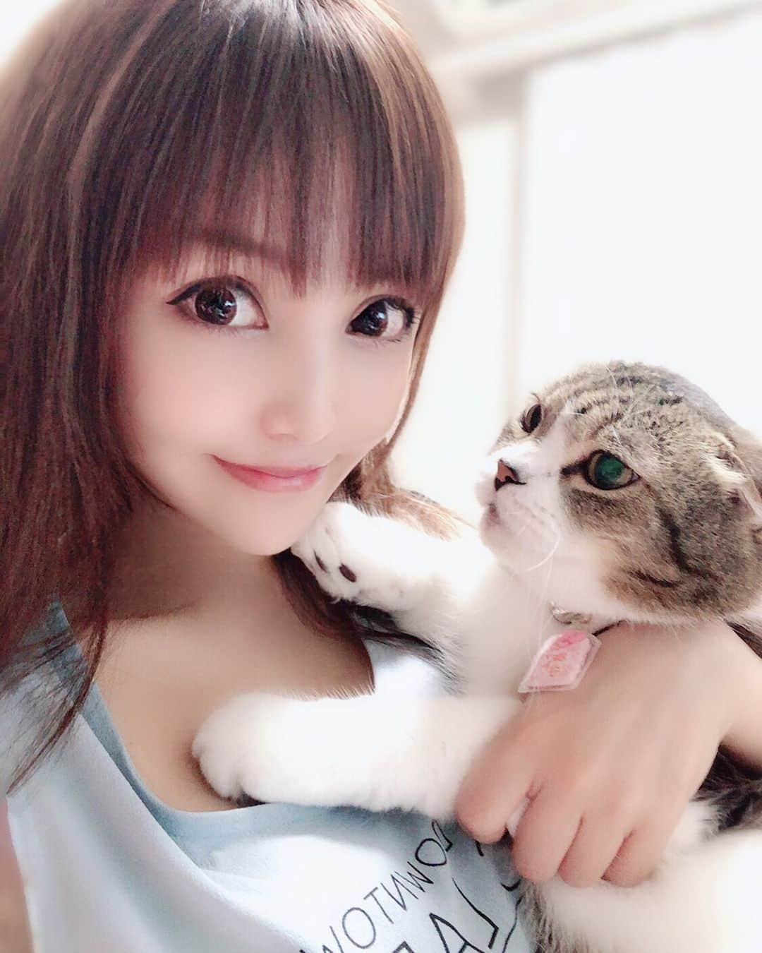 宇佐美あいりさんのインスタグラム写真 - (宇佐美あいりInstagram)「こんばんみ🐰💓お盆休みみんな何するのかなー？あいりんは撮影なのでゆっくり休んで撮影に備えます✨しかし頑張って少し体重戻したのにまた最近調子にのってたら戻ってきましたwうちのデブ猫同じ😹wちょっとひかえなきゃ...🤢w#グラドル自画撮り部#猫顔#愛猫#猫#ねこ#cat#고양이#애완동물#スコティッシュフォールド#귀여운#デブ猫#にゃんすた#にゃんすたグラム#みんねこ#ねこ部#ねこのきもち#猫好き#instacat#catstagram#猫バカ#可愛い#ドラえもん#似てる#みみおれ#ねこと暮らす#お盆#お盆休み#followme」8月10日 22時23分 - airi.usami_official