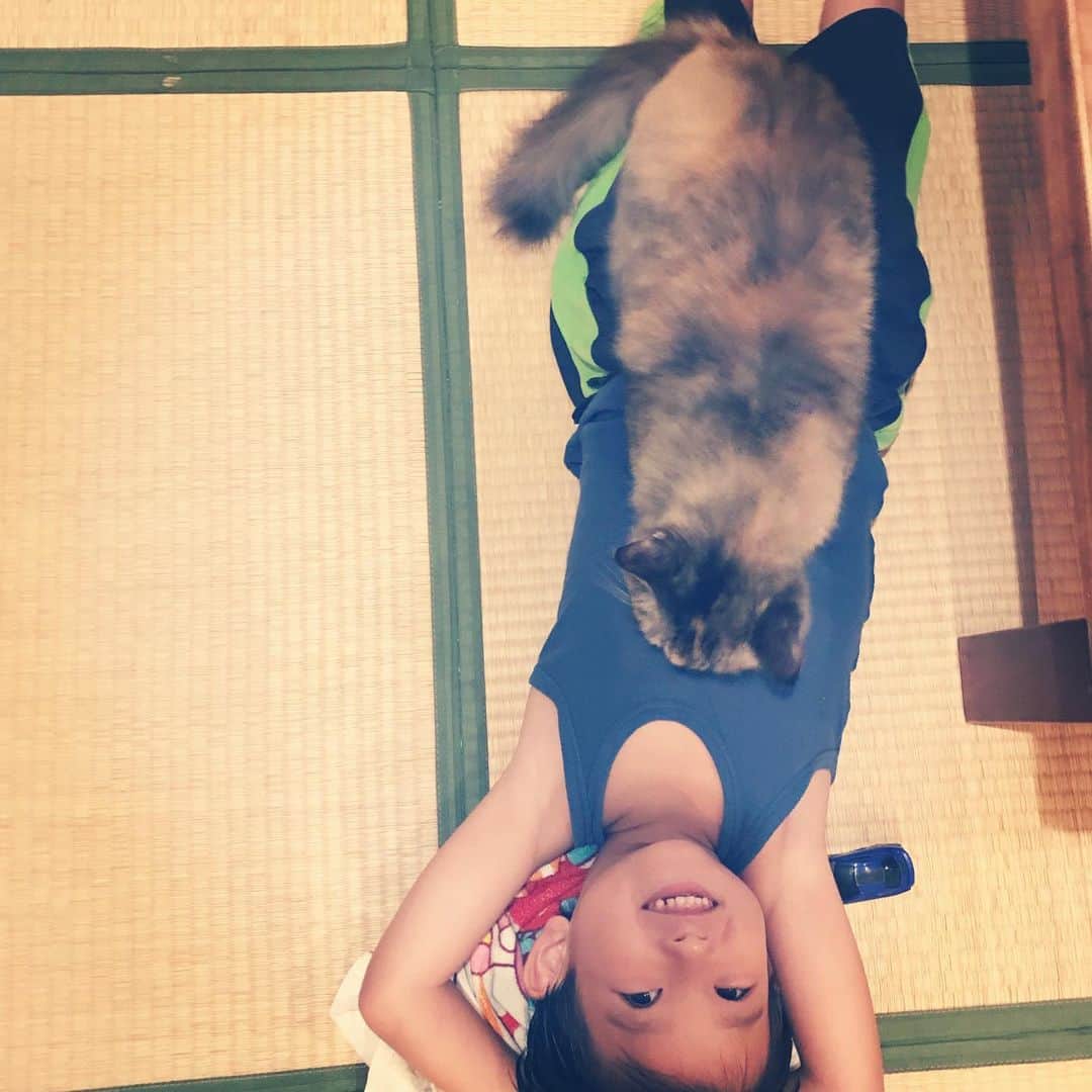 makicocomoのインスタグラム：「Momo’s bed💤  最近、人肌のぬくもりを求めて、 今まであまり近寄らなかった子どもに くっついてきます。 エアコンが涼しすぎるけど、人肌あったら落ち着くのかな。 嬉しいね(*^^*)」