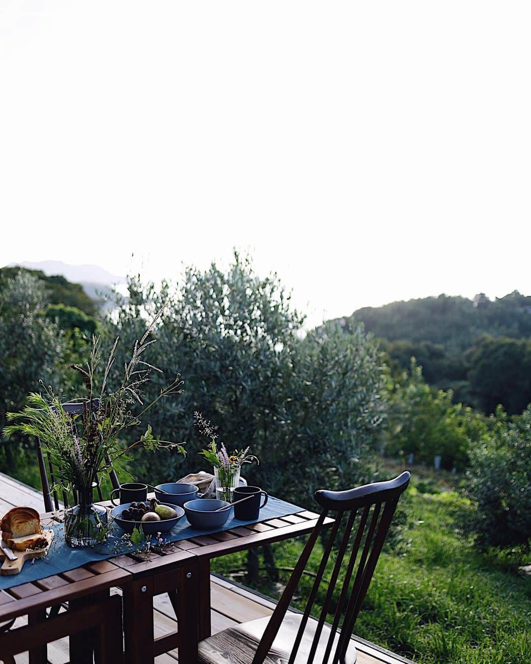 増田由希子さんのインスタグラム写真 - (増田由希子Instagram)「Breakfast with a great view of the Seto Inland Sea. #wildflowers #summervacation #olivegarden #breakfast  瀬戸内海を眺めながらの朝食🥣  #食卓花は道端の雑草 #オリーブ畑 #朝ごはん #天然酵母パン」8月10日 22時50分 - nonihana_