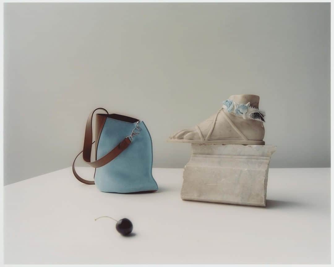 ランバンのインスタグラム：「Hook bag and ceramic fox leather bracelet. Still life shot by @david_ablehams #LanvinFW19 #LanvinbyBrunoSialelli」