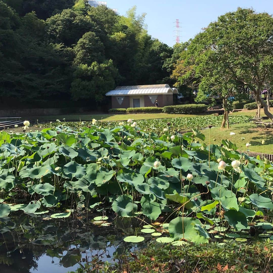 うちやえゆかさんのインスタグラム写真 - (うちやえゆかInstagram)「8月3日と4日は北山田町内会﻿ 『アニメ&ゲームソングまつり♫』﻿ 2夜連続やぐらステージでした。﻿ ﻿ 3日は仲良しで可愛らしいお二人のDelightStyleさんと。﻿ 4日は高橋洋樹さんと初めて一緒﻿に 出演をさせていただきました。 高橋さん熱かった、かっこよかった！﻿ ﻿ 毎年多くのお客さんで賑わうおまつり。﻿ 今年は述べで25.000人の来場者だそうです！！﻿ たくさんの方々とおまつりを楽しむことが でき、﻿最高の夏の夜となりました。﻿ ﻿ #北山田 #北山田町内会 #夏まつり #やぐら #ステージ﻿ #アニメ #ゲーム #ソング ﻿ #3年間 #連続 #出演 #ご縁 #感謝 ﻿ #ありがとうございます」8月10日 23時14分 - yukauchiyae