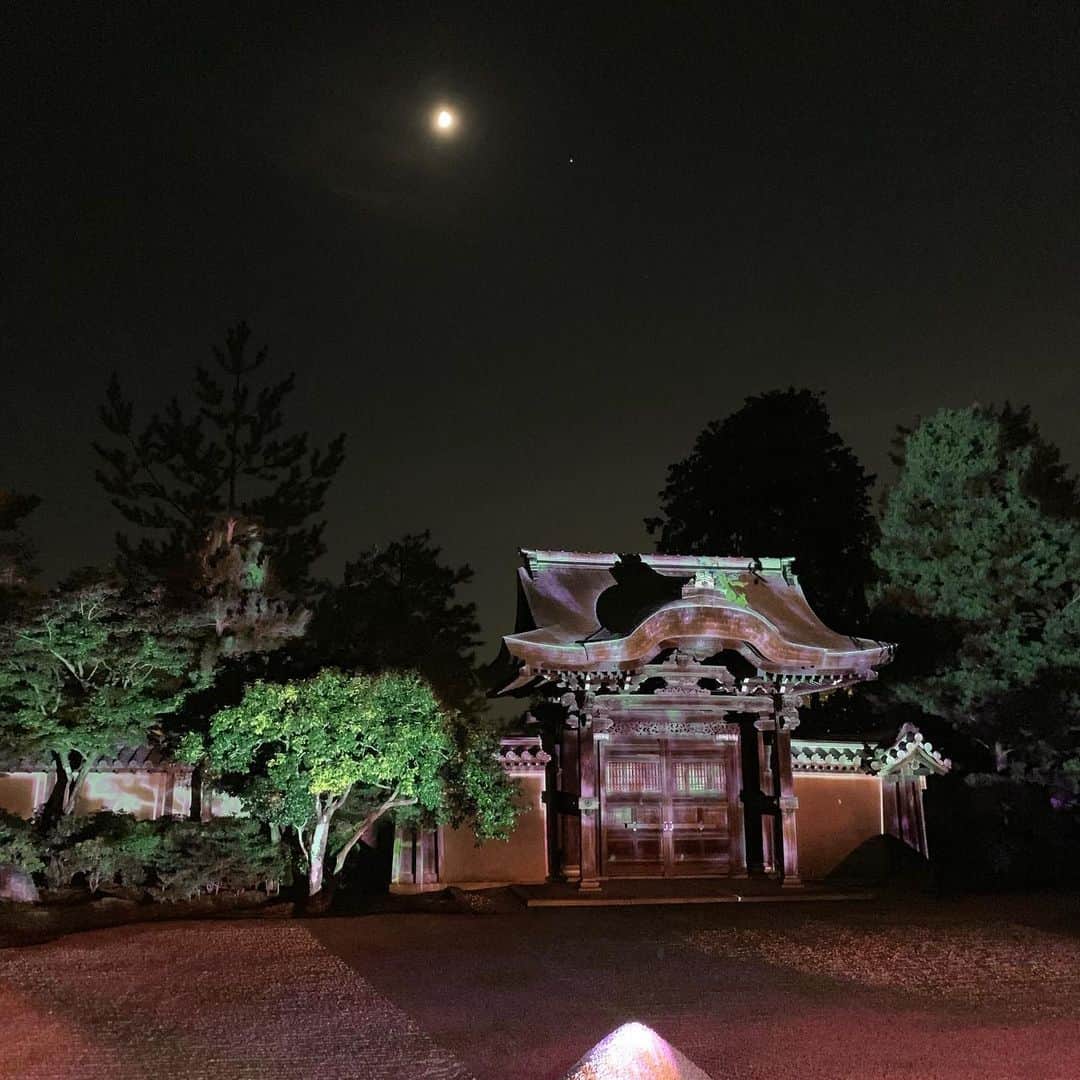 桜井奈々さんのインスタグラム写真 - (桜井奈々Instagram)「京都最終日の夜は、！ 高台寺のライトアップで締めくくり。  夜のお寺の幻想的な雰囲気 ハマります。  夜の竹やぶ、、雰囲気ありすぎ。  あっという間の1週間。  明日帰るぞーー！  #高台寺#京都#夏休み#家族旅行#帰省 #夜の京都#ライトアップ」8月10日 23時21分 - sakurai_nana7