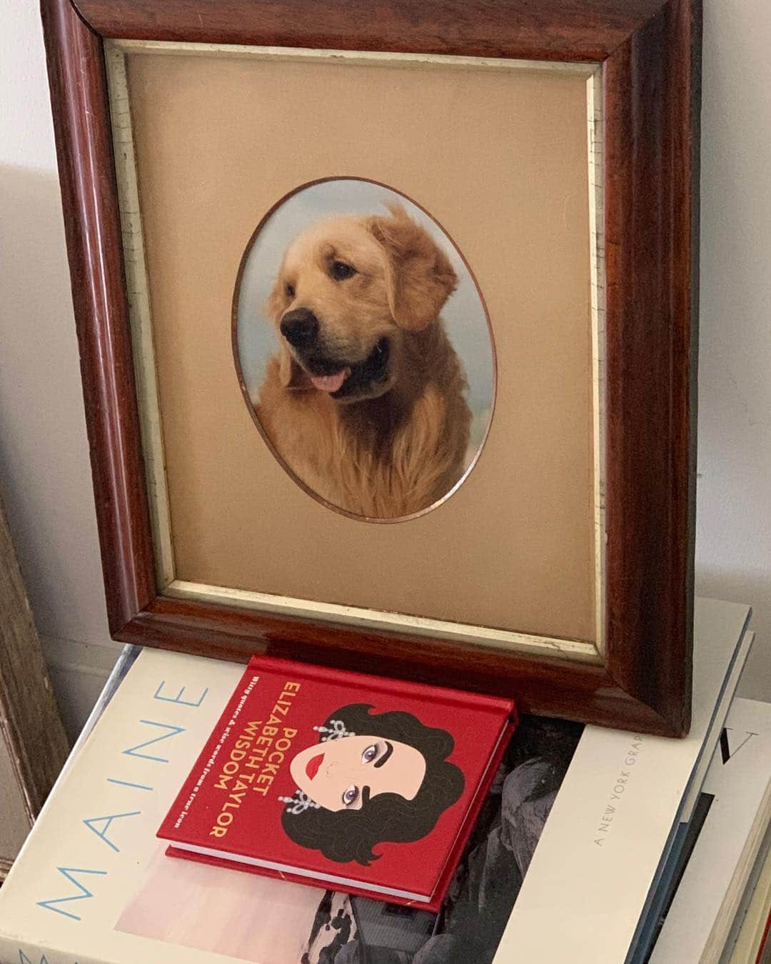 ブルース・ウェーバーさんのインスタグラム写真 - (ブルース・ウェーバーInstagram)「Saturday morning reading Elizabeth Taylor quotes  and looking at a photo of Bonito from last winter-take a lot of photos of your pets no matter what they are- thankful for those experiences with a camera」8月11日 0時36分 - bruce_weber