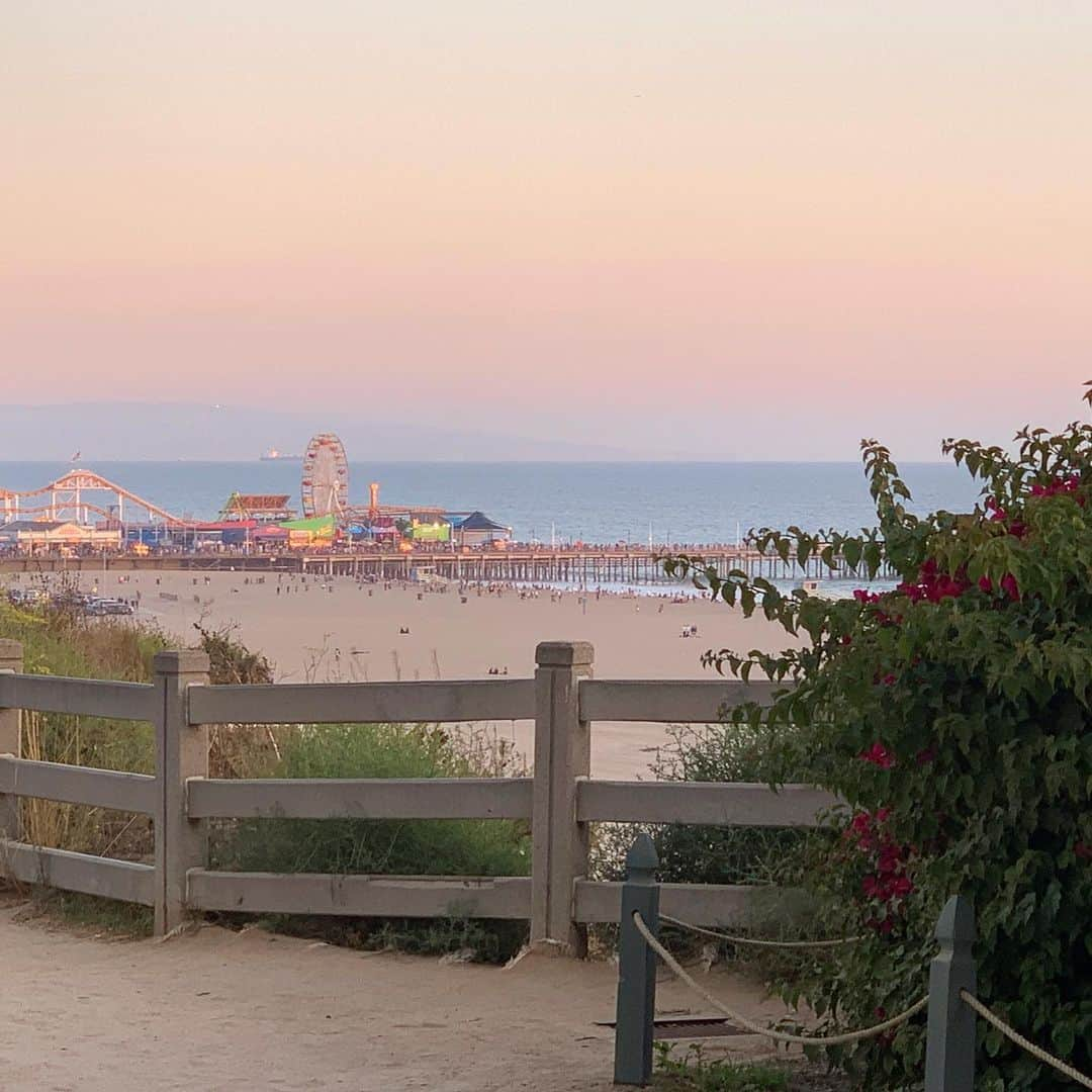 クリスティ・ブリンクリーさんのインスタグラム写真 - (クリスティ・ブリンクリーInstagram)「California here I come,  Right back where I started from  Where bowers of flowers bloom in the sun ,  Each morning at dawning birdies sing and everything! 🌻」8月11日 0時52分 - christiebrinkley