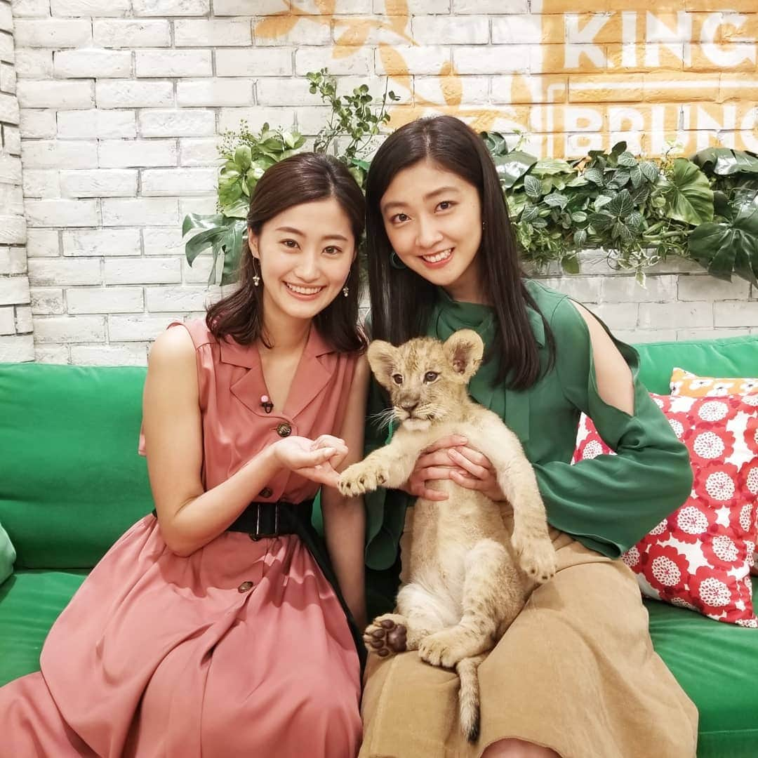 高柳愛実さんのインスタグラム写真 - (高柳愛実Instagram)「. リアルシンバ🦁 とてつもなく可愛かったー！！ . . #赤ちゃんライオン #富士サファリパーク」8月11日 7時15分 - takayanagi_manami