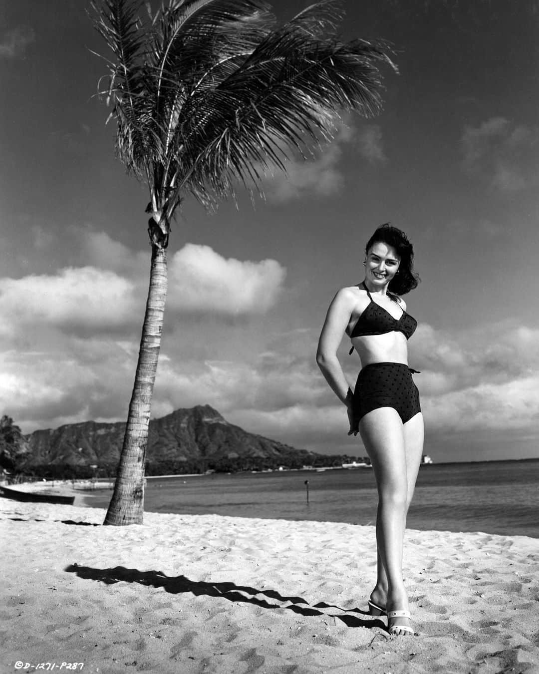 アカデミー賞さんのインスタグラム写真 - (アカデミー賞Instagram)「Ready for another beach day.  Pictured: Donna Reed during production of “From Here to Eternity,” which earned her an Oscar for Best Supporting Actress.」8月11日 2時16分 - theacademy