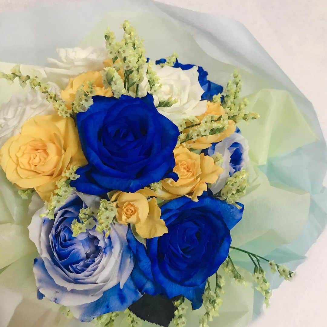 小野麻亜矢さんのインスタグラム写真 - (小野麻亜矢Instagram)「ブルーの薔薇  綺麗なんだけど、 お水は青くなりました。  なんか薔薇がかわいそうかも。  #ブルーの薔薇 #お花のある生活 #夏はもたない」8月11日 2時25分 - ono_maaya