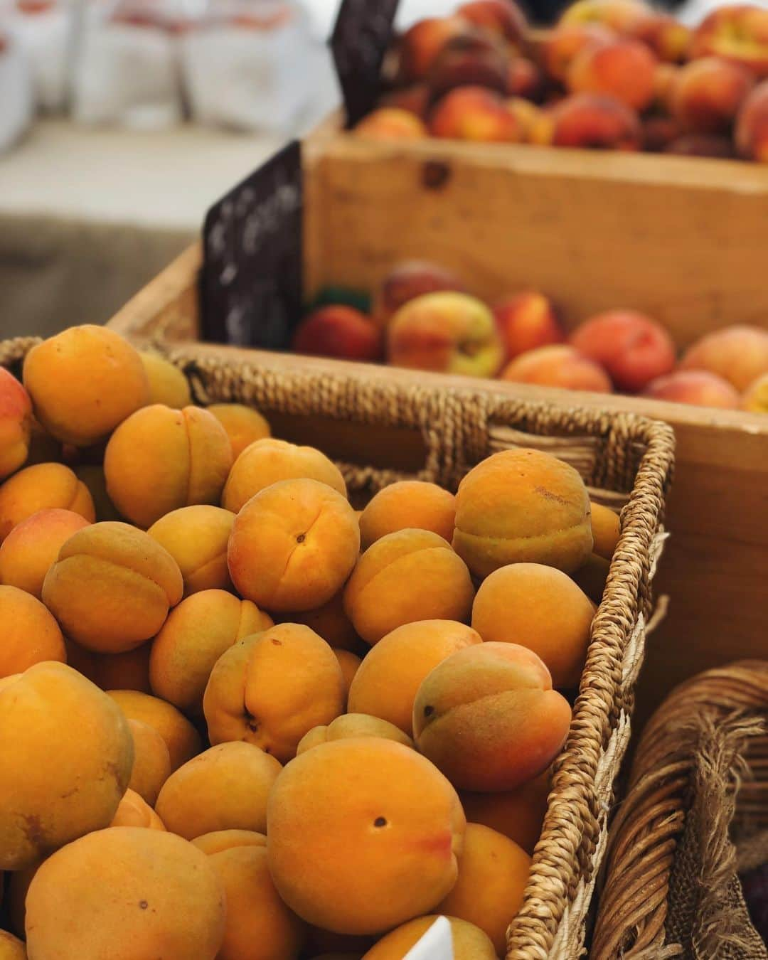 翁安芸さんのインスタグラム写真 - (翁安芸Instagram)「Aspen Saturday Market🍑🥬🍅🥕🍓🥑 毎週土曜日のファーマーズマーケットでお買い物。新鮮で色鮮やかなお野菜や果物がたくさん！毎週末の楽しみです❤️ #aspen #farmersmarket #aspensaturdaymarket #fresh #ファーマーズマーケット #アスペン」8月11日 2時31分 - akinyc