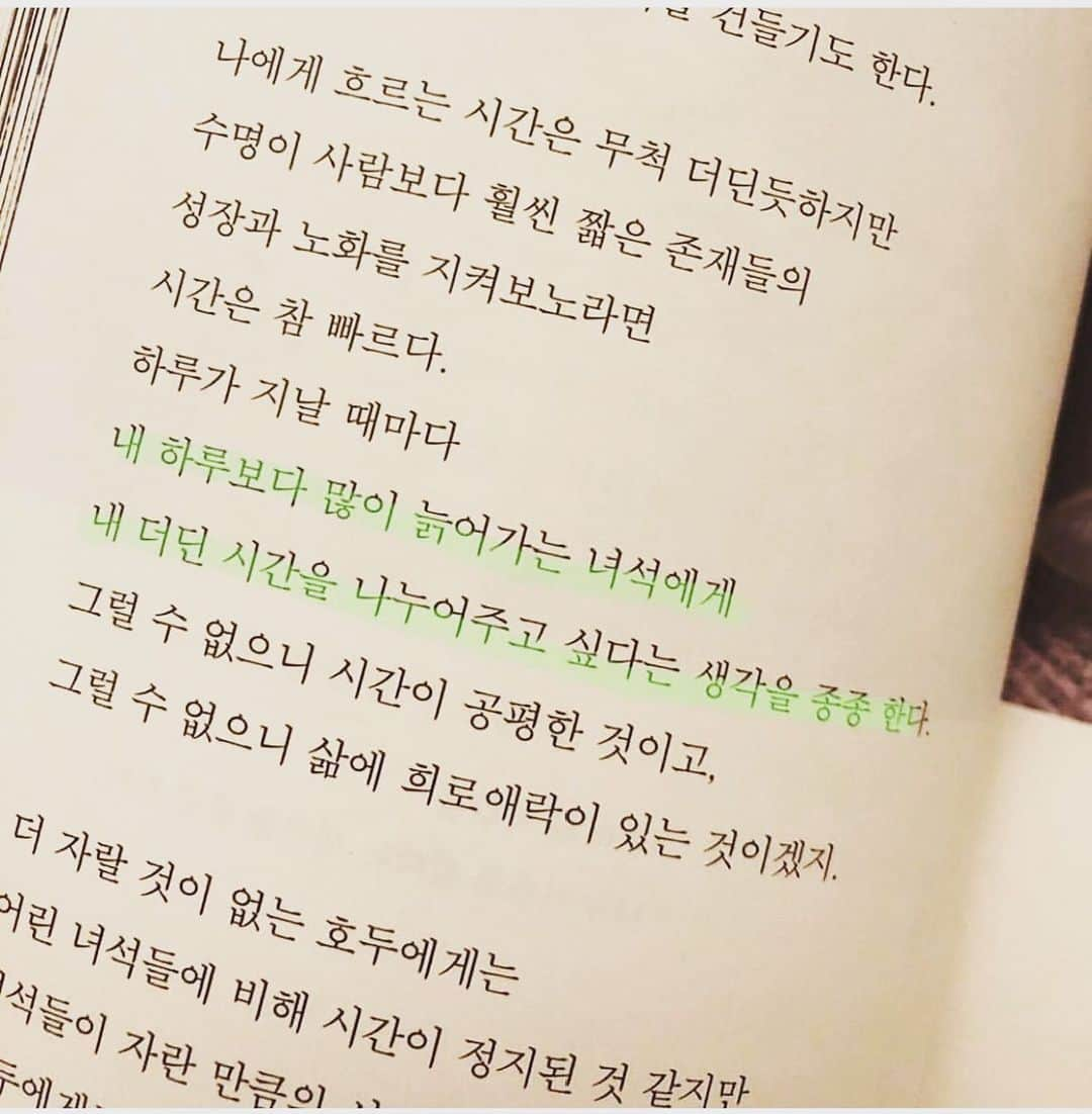 イトゥク さんのインスタグラム写真 - (イトゥク Instagram)「#반려견을 키우는 분들은 아실거에요 내가 무슨 직업을 가졌는지 내가 어떤집에 사는지 무슨 차를 타는지 돈이 많은지 적은지 아무것도 상관하지 않아요 그냥 나 자체를 좋아하고 사랑해주죠 사람과 다르게 배신이라고는 모르죠 그런 한없이 사랑만주는 존재앞에서 때론 바쁘다는 핑계에 너무나도 미안해지네요 하루종일 나만 가다렸을텐데 말이죠 저도 나밖에 모르는 우리 쿵이 더 아끼고 사랑해 줘야겠어요#사랑해#쿵이야🐶❤️ #오래오래행복하게살자💕」8月11日 2時52分 - xxteukxx