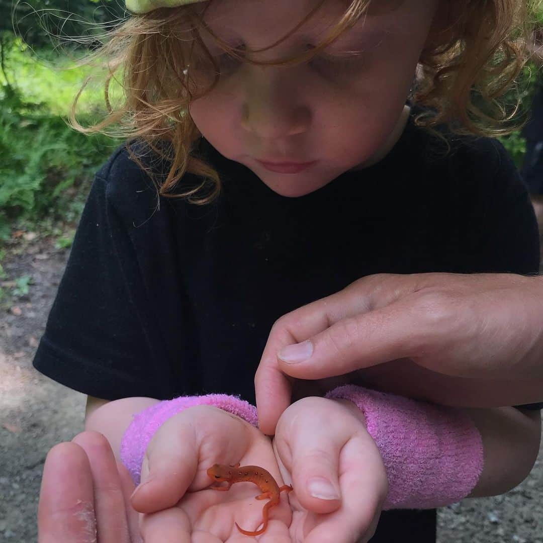 カイル・ガルナーさんのインスタグラム写真 - (カイル・ガルナーInstagram)「Lake creatures and slow summer days :) #summer #creatures #bugs #lake」8月11日 4時16分 - kylegface