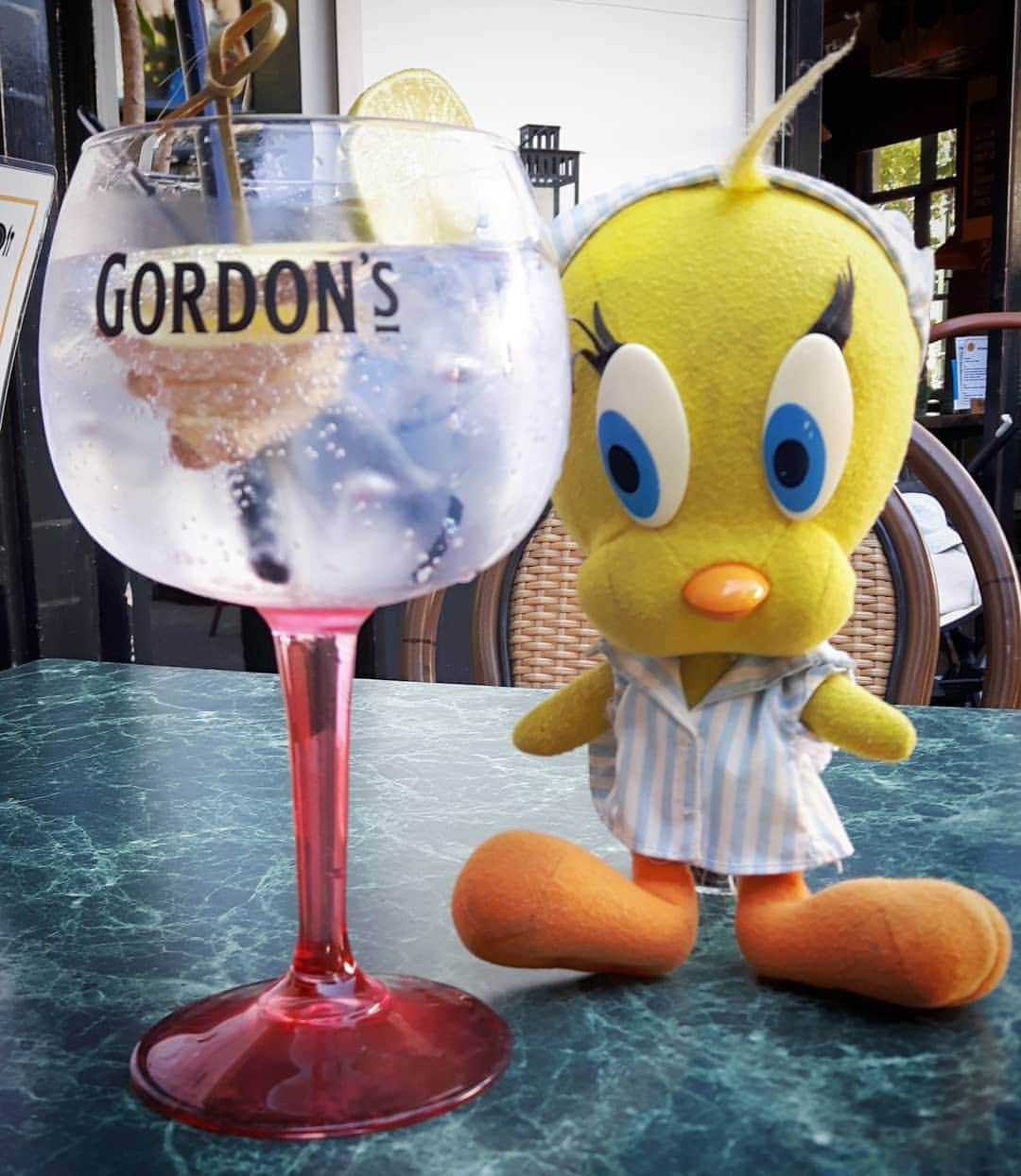 Little Yellow Birdさんのインスタグラム写真 - (Little Yellow BirdInstagram)「Today it's a rather cool 31°C😉but still warm enough for a nice ginger gin tonic!  #littleyellowbird #tweety #tweetykweelapis #adventures #yellow #bird #weekend #saturday #gintonic #ginger #drinks #happyhour #summer #july #zomer #fun #sun #sunnyday #cheers #proost #stuffedanimalsofinstagram #plushiesofinstagram」7月27日 22時18分 - tweetykweelapis