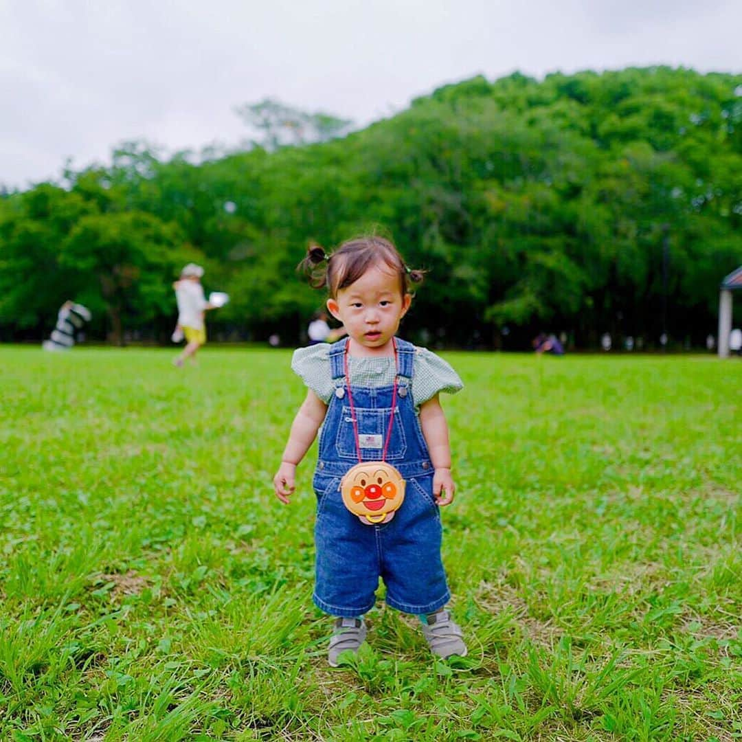 尾形貴弘さんのインスタグラム写真 - (尾形貴弘Instagram)「こないだ家族で公園に行った時 オシャレなファミリーがいるなぁーーと思ったらなんと安田さんファミリー！！！ それから一緒に遊んで、たくさん写真も撮ってもらって嬉しかったなぁー！！！家族で遊べるの嬉しい！！さくちゃんもそれまでグズグズだったのに安田さんファミリーに会ったらすっかりご機嫌で息子くんともすぐ一緒に遊んでて二人とも本当に可愛すぎたなーー！！！ 楽しい日だった！！！ #柴犬大好き #柴犬マニア  #愛犬  #赤柴 #しばけん  #しばちゃん  #しばいぬ大好き  #shibainu  #shiba_snap  #犬ばか部  #いぬばか部 #ミク #三九 #39 #パンサー尾形 #赤ちゃん #赤ちゃんのいる暮らし #赤ちゃんと犬 #1歳4ヶ月 #サンキュー #ママリ #ベビフル」7月27日 21時42分 - miku3_miku_9