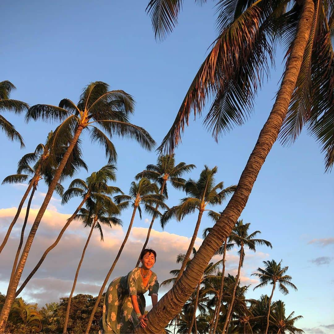 田中律子さんのインスタグラム写真 - (田中律子Instagram)「昨日のサンセット前の木登り🐒  ヤシの木🌴って、登るの足裏痛い🤣南の島でヤシの木スルスル登ってヤシの実とる人🥥いるけど、あれマジすごい😆  #hawaii  #maui  #beachlife  #sunset  #ヤシの木」7月27日 13時19分 - ri2kotanaka