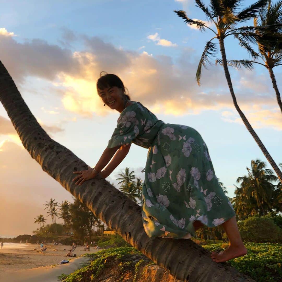 田中律子さんのインスタグラム写真 - (田中律子Instagram)「昨日のサンセット前の木登り🐒  ヤシの木🌴って、登るの足裏痛い🤣南の島でヤシの木スルスル登ってヤシの実とる人🥥いるけど、あれマジすごい😆  #hawaii  #maui  #beachlife  #sunset  #ヤシの木」7月27日 13時19分 - ri2kotanaka