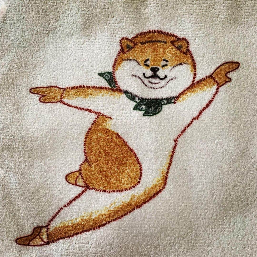 のインスタグラム：「#まめ丸 が機敏だったら、 こんな感じ？？笑 スタイリストの荒井さんから ハンドタオルのプレゼント 💕🎁✨ 姪っ子さんのイラストなんですって❗️ カワイイ😊 勝手に「まめちゃん」と命名。 まめちゃんハンド、大切に使わせて頂きます❗️ #柴犬まめ丸  #しばいぬまめ丸  #yuraty #荒井さん」