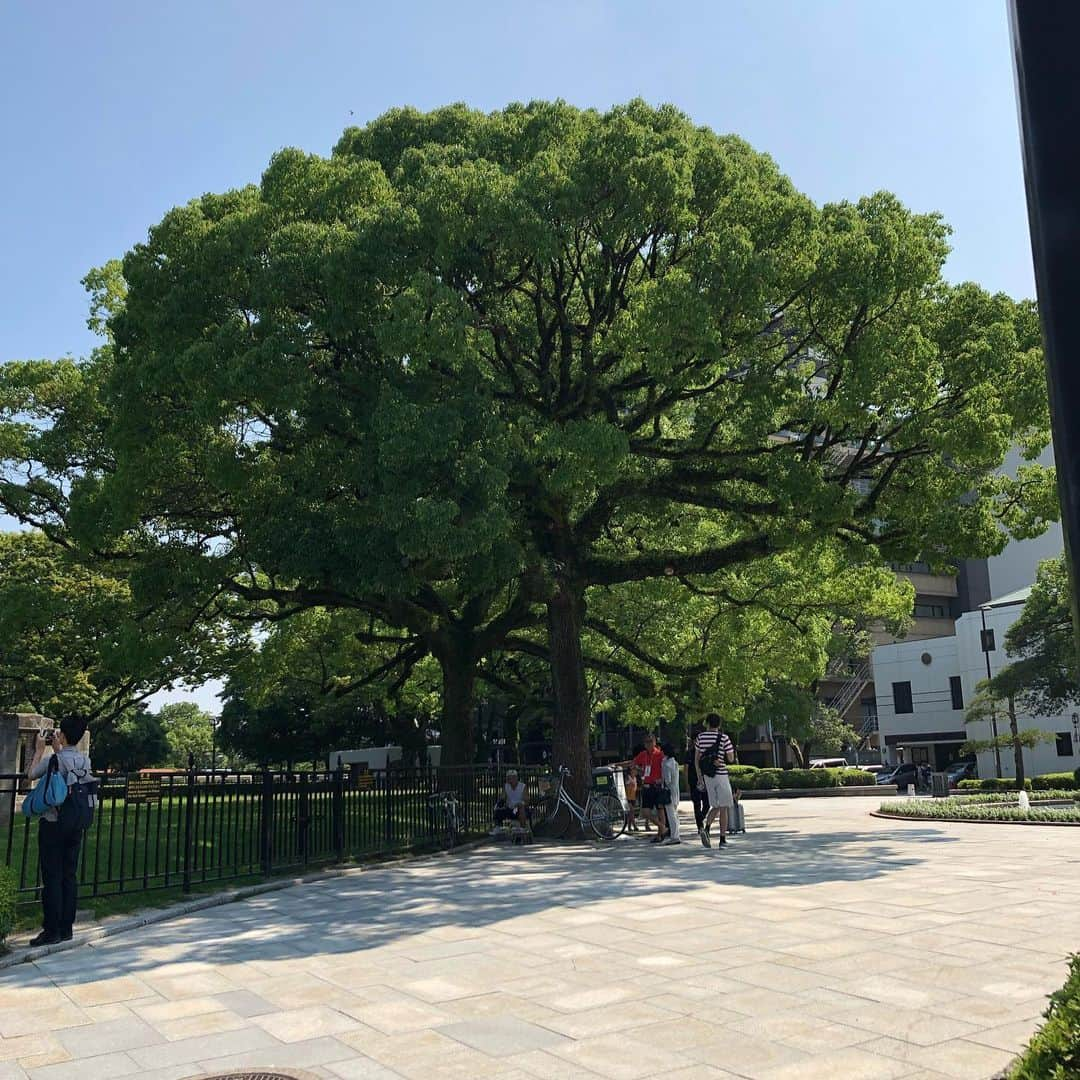 ジュリアーノ・ベレッチさんのインスタグラム写真 - (ジュリアーノ・ベレッチInstagram)「Uma visita de emocionar. Hiroshima, Japão. Sem comentários.」7月27日 14時24分 - julianobelletti