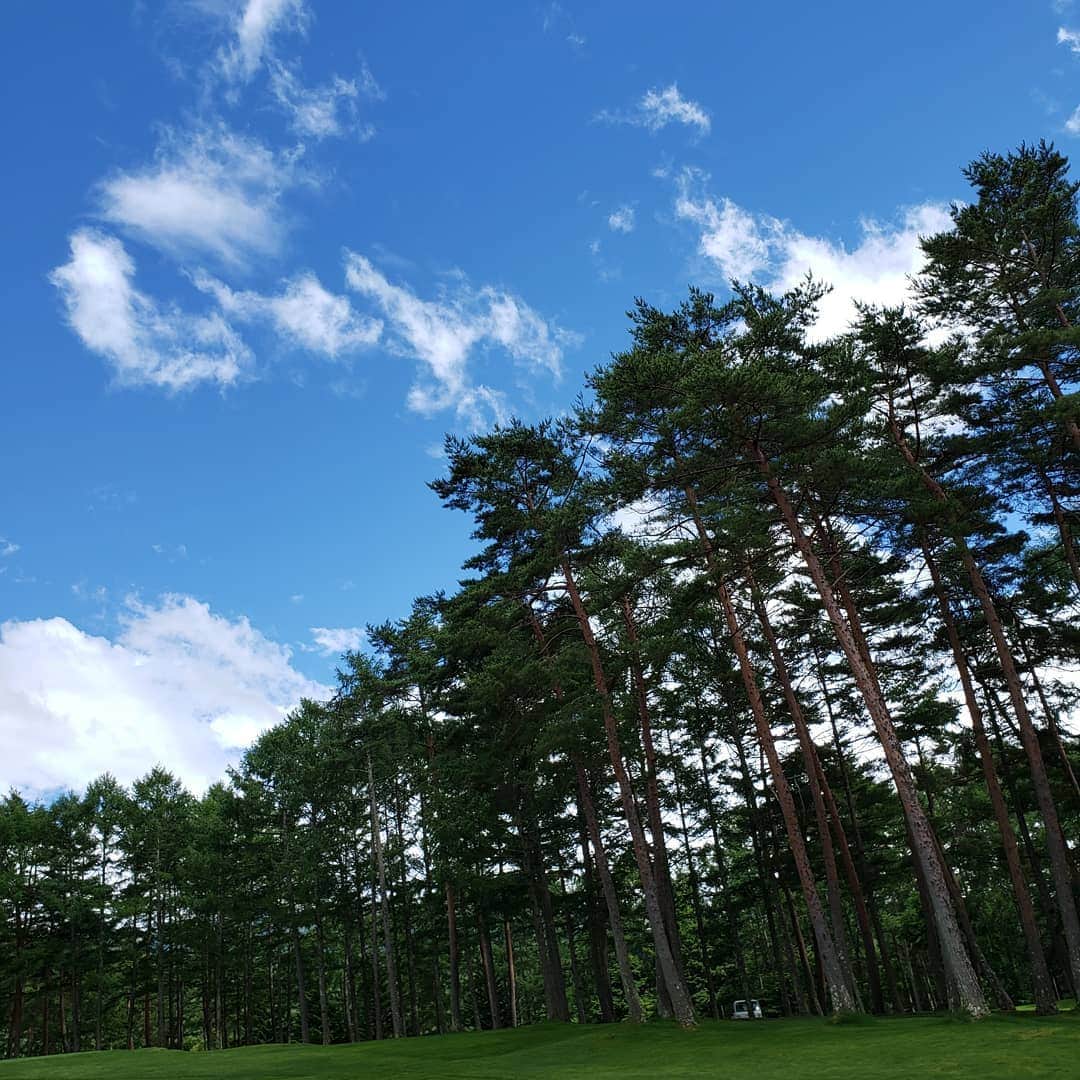 上杉隆のグルメインスタ