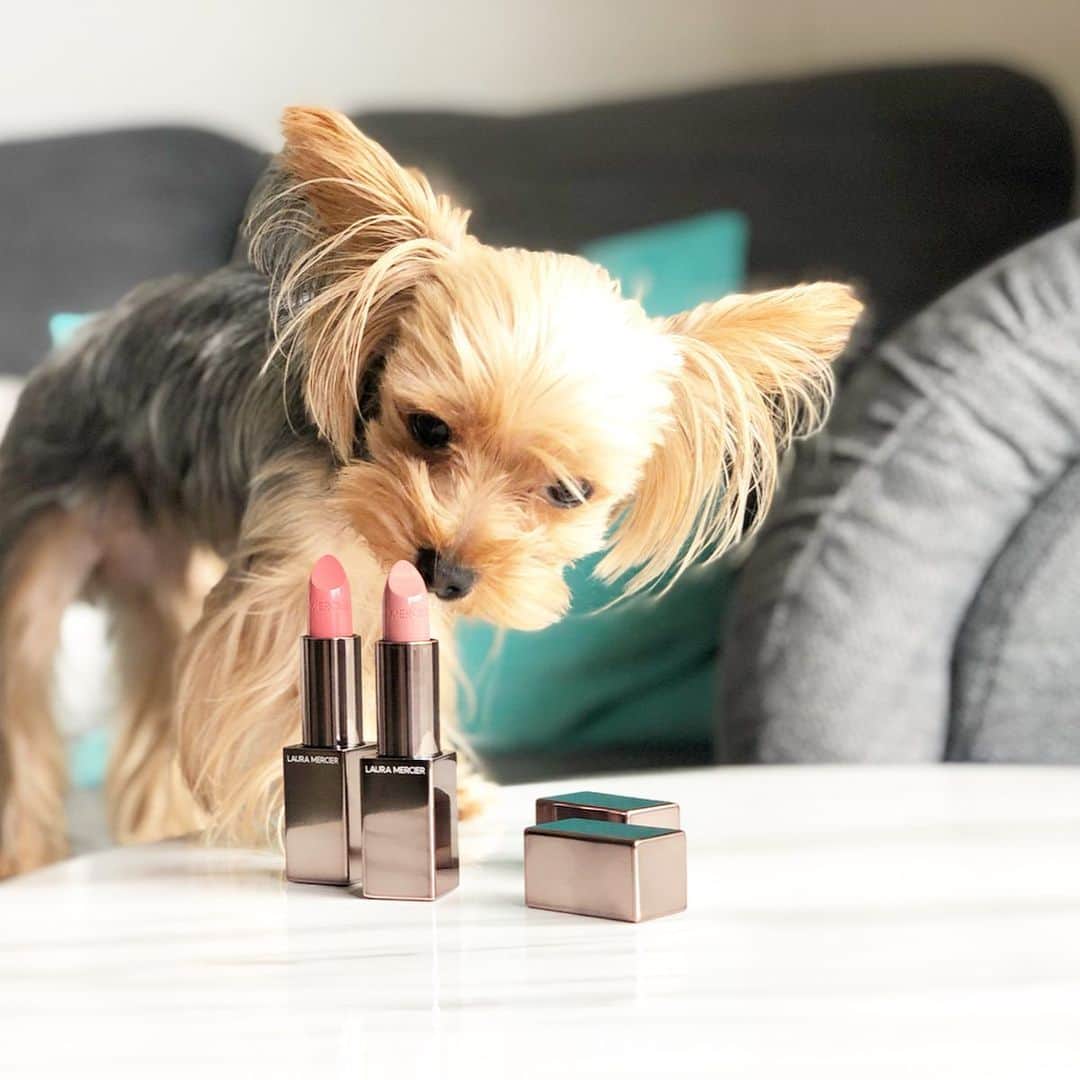 KAORI.OMURA 大村香織のグルメインスタ