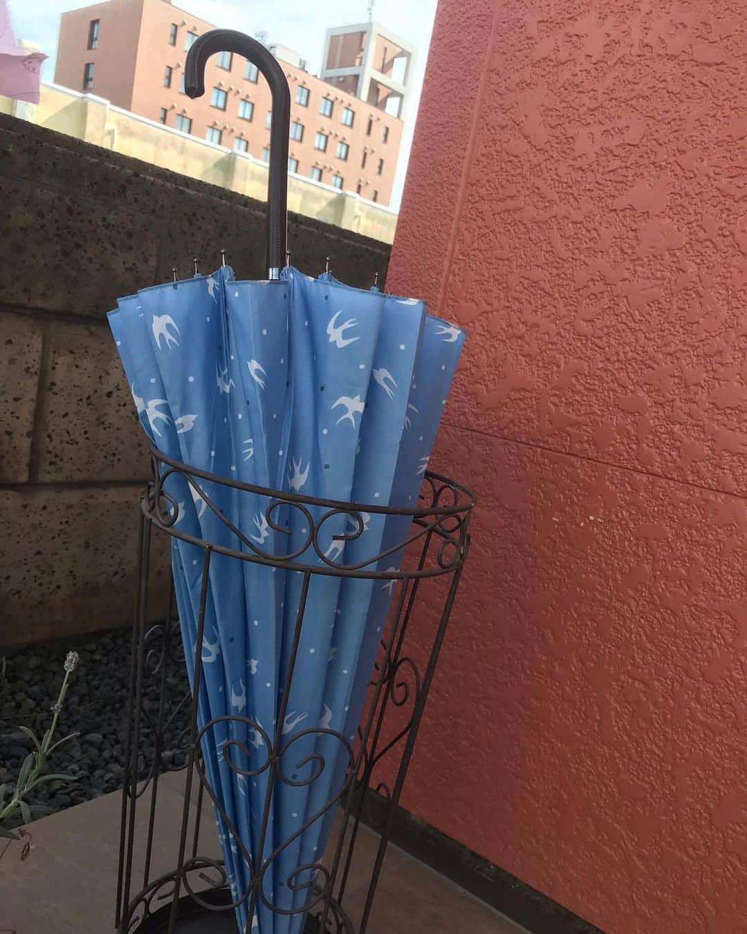 魔女菅原のグルメインスタ