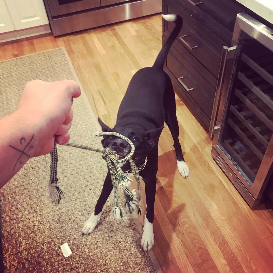 マイケル・グラント・テリーのインスタグラム：「Taking care of this bozo @pejvahdat  enjoy your trip while I take care of your baby. Don’t be surprised if he loves me more when you come back.」